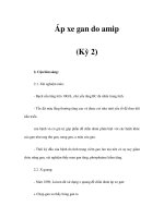 Áp xe gan do amip (Kỳ 2) pot