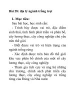 Địa lý lớp 10 Bài 28 docx