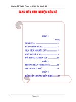 SKKN MI THUAT TIEU HOC