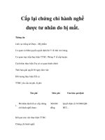 Cấp lại chứng chỉ hành nghề dược tư nhân do bị mất. docx