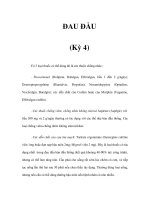 ĐAU ĐẦU (Kỳ 4) pdf