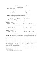 Đề KTĐKGKII-Toán