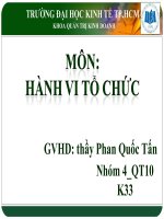 Bài giảng: Hành vi tổ chức potx