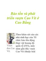 Bảo tồn và phát triển vượn Cao Vít ở pps