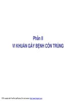 Bài giảng dịch bệnh côn trùng - Vi khuẩn gây bệnh doc