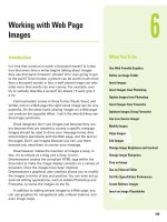 adobe dreamweaver cs5 on demand part 21 ppsx