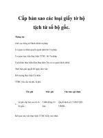 Cấp bản sao các loại giấy tờ hộ tịch từ sổ bộ gốc. docx