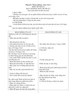 Giáo án mỹ thuật lớp 5 cả năm 17/3/2010 CKTKN