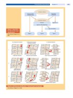 Spinal Disorders: Fundamentals of Diagnosis and Treatment Part 90 potx