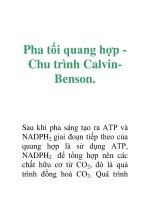 Pha tối quang hợp Chu trình CalvinBenson. ppsx