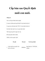 Cấp bản sao Quyết định nuôi con nuôi. potx