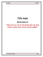 PHÂN TÍCH CÁC YẾU TỐ ẢNH HƯỞNG ĐẾN VIỆC HÌNH THÀNH VÀ PHÁT TRIỂN VĂN HÓA DOANH NGHIỆP