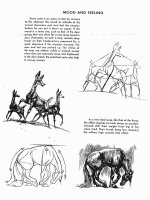 The Art Animal Drawing - Mood and feeling ppt