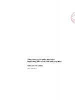 công ty cổ phần bảo hiểm ngân hàng đầu tư và phát triển việt nam bic báo cáo tài chính quý 1 2013