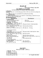 giáo án lớp2 tuần 19