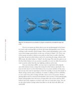 Photoshop cs5 cho nhiếp ảnh gia part 6 pot