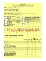 Mẫu Tự kiểm Định Chất Lượng Trường Học