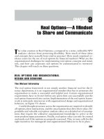 Real Options in practice Chapter 9 pot