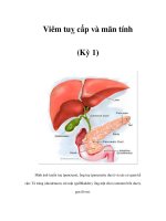 Viêm tuỵ cấp và mãn tính (Kỳ 1) pdf