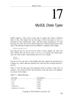 Hướng dẫn sử dụng MySQL part 15 pptx