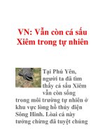 VN: Vẫn còn cá sấu Xiêm trong tự nhiên potx