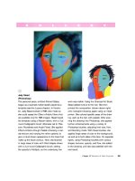 The Adobe Illustrator CS Wow- P15 ppsx