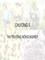 Bài giảng KINH TẾ NÔNG NGHIỆP - Chương 5 pot