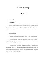 Viêm tụy cấp (Kỳ 1) ppt