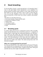 Goat keeping in the tropics - Part 2 pptx