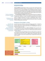 Spinal Disorders: Fundamentals of Diagnosis and Treatment Part 61 potx