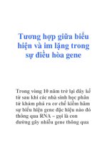 Tương hợp giữa biểu hiện và im lặng trong sự điều hòa gene doc