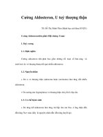 Cường Aldosteron, U tuỷ thượng thận pps