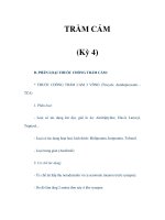TRẦM CẢM (Kỳ 4) pdf