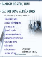Đánh giá hồ sơ dư thầu và các hợp đồng phân bổ rủi ro pptx