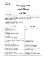 Giao an lop 2 tuan 29 CKTBVMT