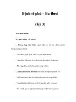 Bệnh tê phù – Beriberi (Kỳ 3) ppt