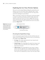 Adobe illustrator cs4- P15 ppsx