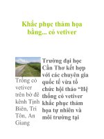 Khắc phục thảm họa bằng... cỏ vetiver ppsx