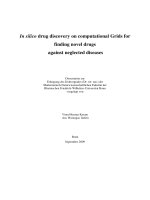 In silico drug discovery on computational Grids for finding novel drugs against neglected diseases