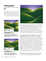 The Adobe Illustrator CS Wow- P10 doc