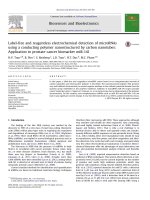 Label free and reagentless electrochemical detection of microRNAs using a conducting polymer nanostructured by carbon nanotubes application to prostate cancer biomarker mir 141
