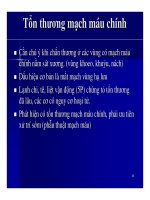 Đại cương về cấp cứu chấn thương cơ quan vận động (Phần 5) potx