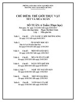 chủ điểm thế giới thực vật