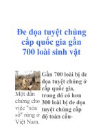 Đe dọa tuyệt chủng cấp quốc gia gần 700 loài sinh vật pps