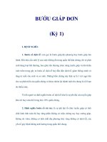 BƯỚU GIÁP ĐƠN (Kỳ 1) pps