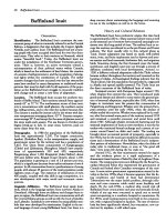 Encyclopedia of World CulturesVolume I - NORTH AMERICA - B potx