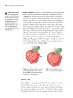 Adobe illustrator cs4- P8 pot