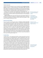 Spinal Disorders: Fundamentals of Diagnosis and Treatment Part 41 pptx