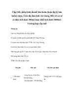 Cấp Giấy phép kinh doanh bán buôn (hoặc đại lý bán buôn) rượu. Trên địa bàn tỉnh An Giang. Đối với cơ sở có diện tích dưới 300m2 hoặc khối tích dưới 1000m3. Trường hợp cấp mới pptx