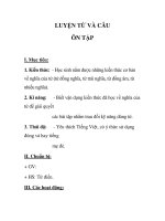 LUYỆN TỪ VÀ CÂU ÔN TẬP docx